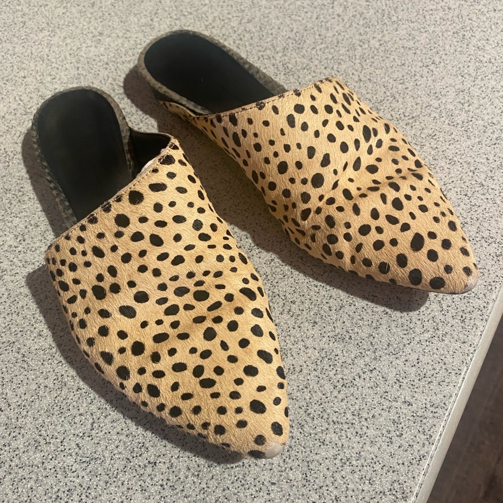 Women’s Dolce Vita Leopard print slides| SZ. 7.5